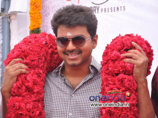 Vijay Vijay