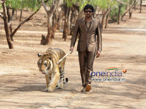 Tells Us About The Dialogues...