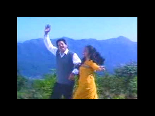 A Metaphor Of The Ravages Of War