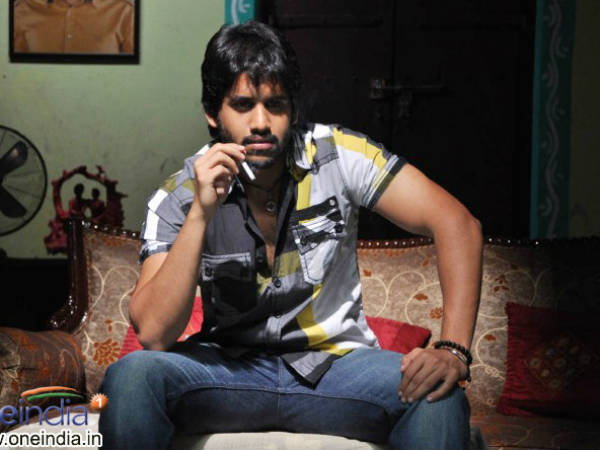 Chaitanya Has No Bollywood Aspirations