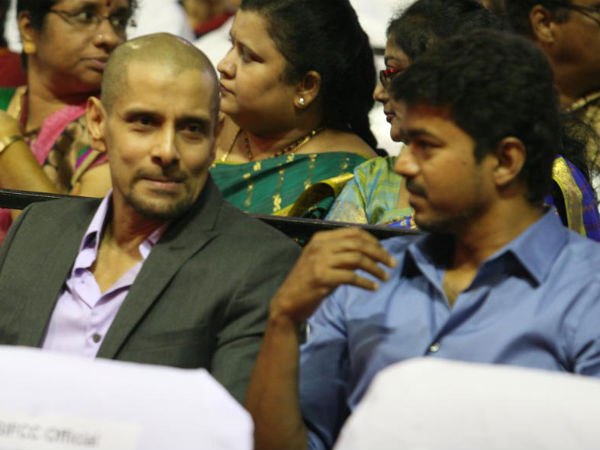 Their Forthcoming Movies