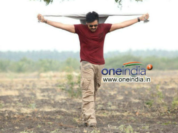 Celebs' Request To Fans