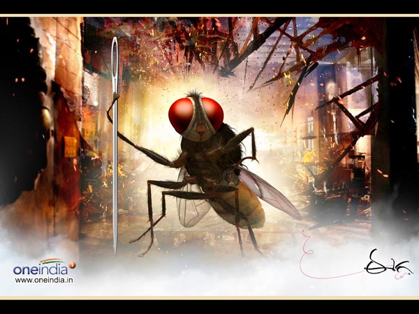 Eega Collection In USA