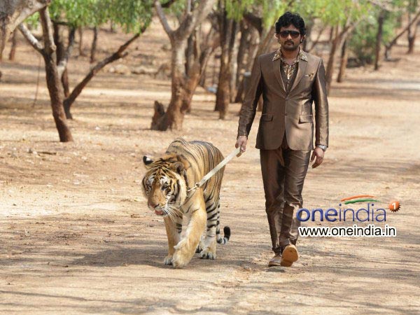 It Was A Painful Decision 