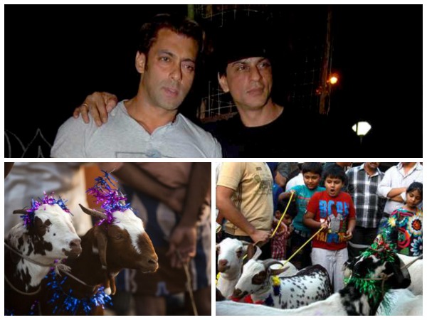 Shahrukh-salman-Goats-Bakrid Shahrukh-salman-Goats-Bakrid