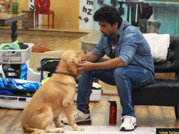 Kushal Gave Up First