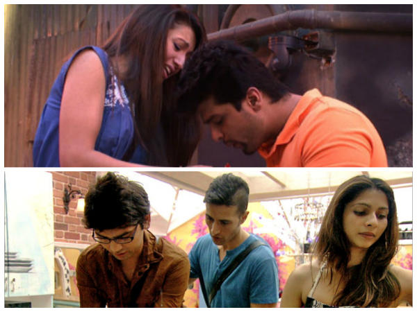 Vivek On Kushal-Gauhar, Tanisha-Armaan