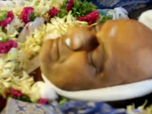 Veteran Actor Mohan Babu