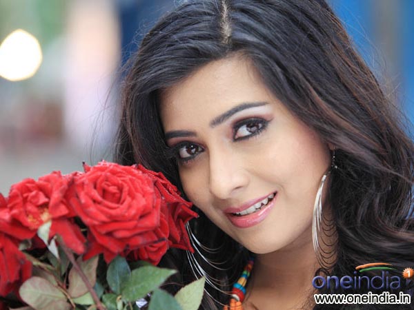 Lead Cast Of Addhuri 