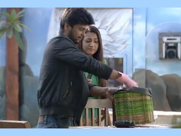 Kushal And Gauhar 