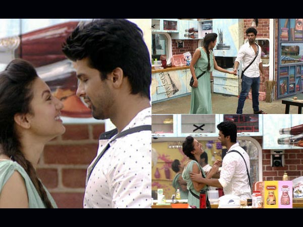 Lovebirds Separated Lovebirds Separated