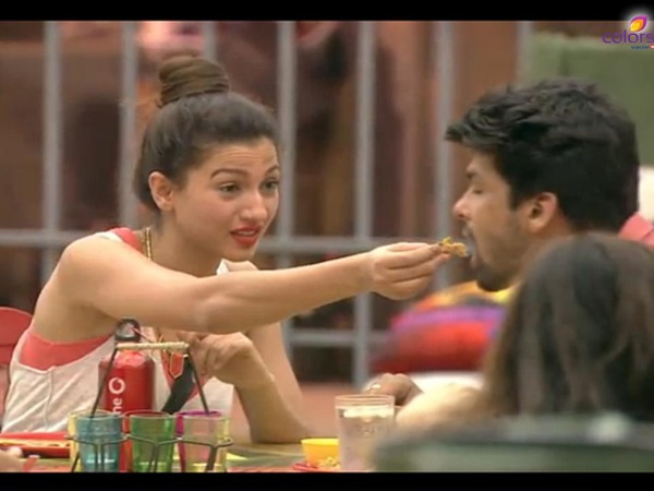 Gauhar-Kushal Love Gauhar-Kushal Love