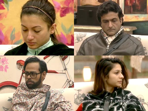 Gauhar, Armaan, Tanisha And Andy