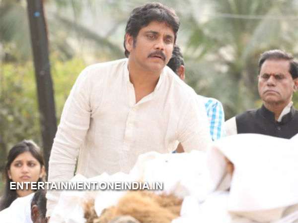 Nag's Last Look At ANR