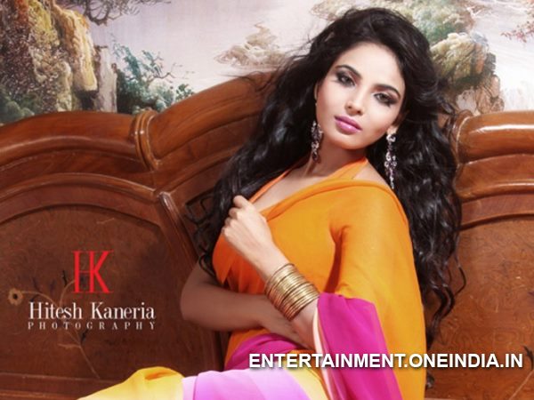 Shilpi On Bhojpuri Films