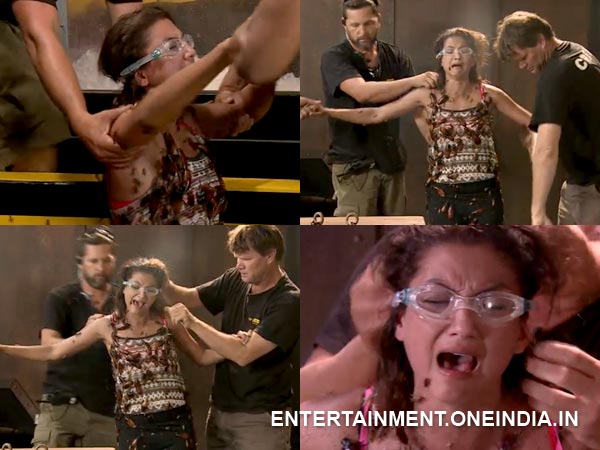 Getting The Cockroaches Off Gauhar Getting The Cockroaches Off Gauhar