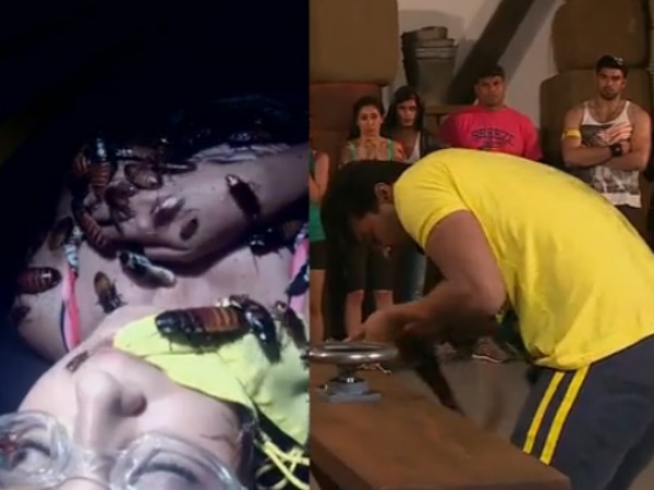 Gauhar And Kushal Gauhar And Kushal