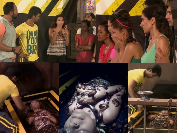 Cockroach Stunt Saved Them Cockroach Stunt Saved Them