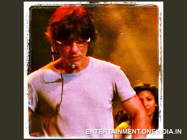 Shahrukh Khan At Abu Dhabi