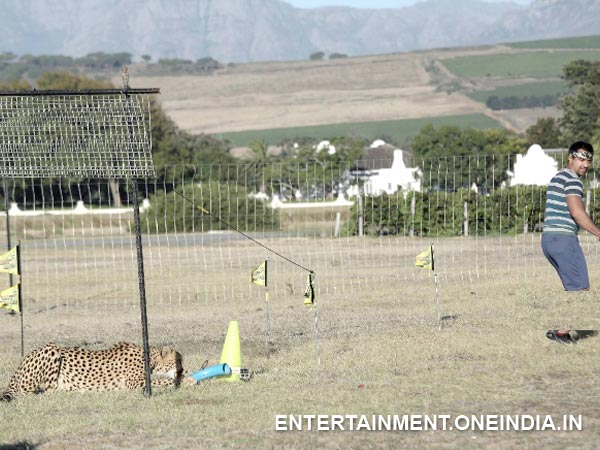 Ajaz Made His Escape