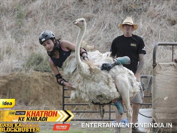 Stunts That Failed Her