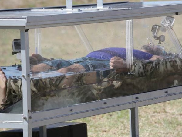 Ranveer Among The Frogs