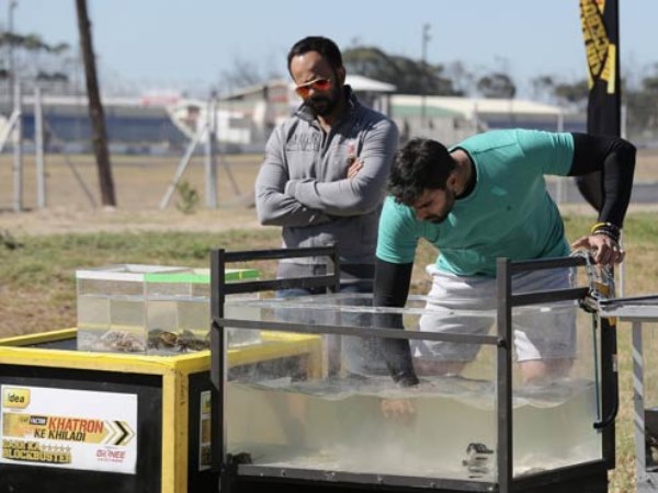 Niktin Separating Crabs