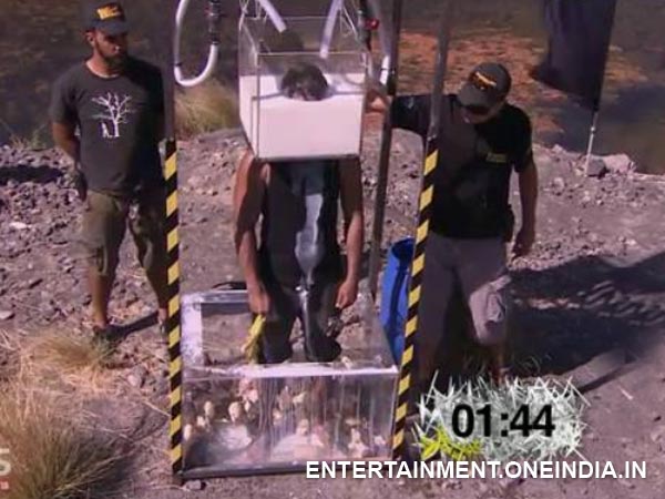 Nikitin And Salman Stung