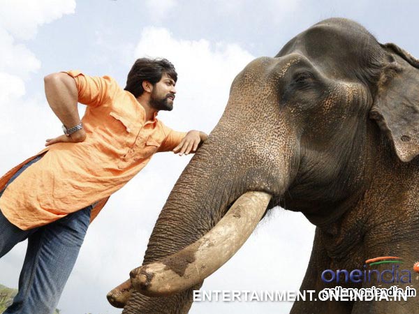 What Role Does The Elephant Arjuna Have?