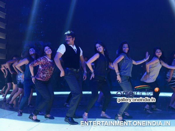 CineForest - Rating: 4