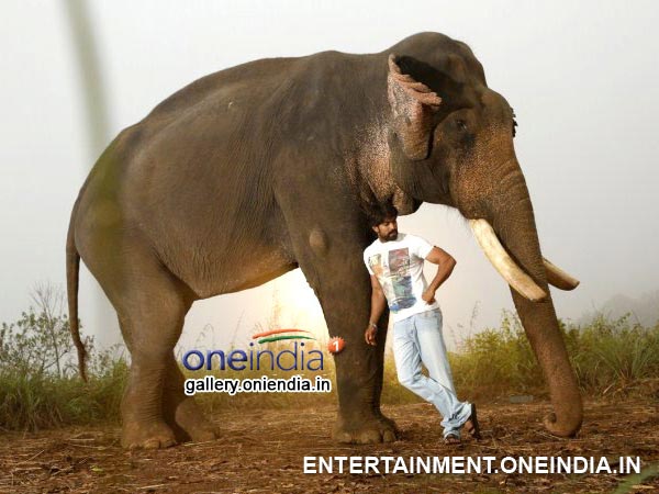 Gajakesari Collection