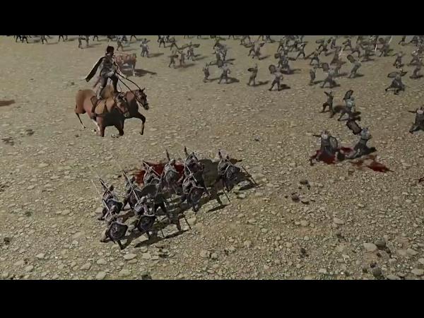 International Market International Market