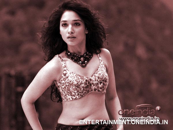 Tamanna Busy In Telugu