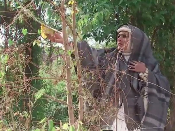 Maha Manga Becomes Busy............