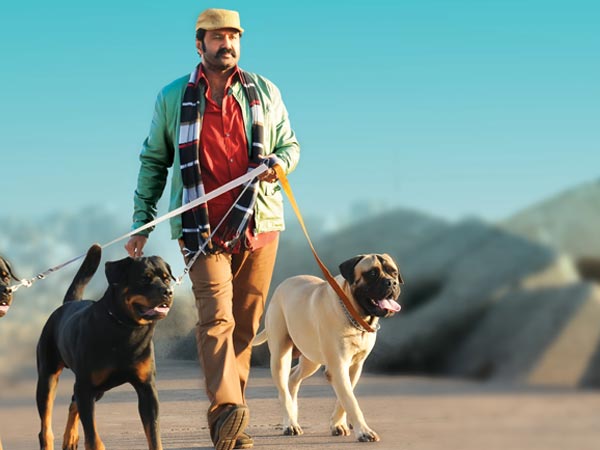 Balakrishna's Role In Legend