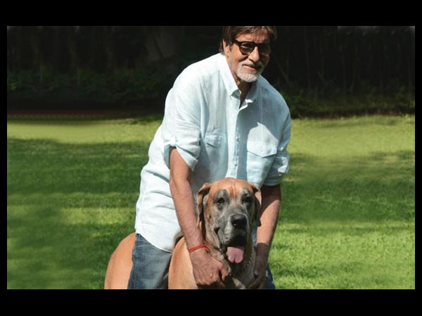 Amitabh Bachchan