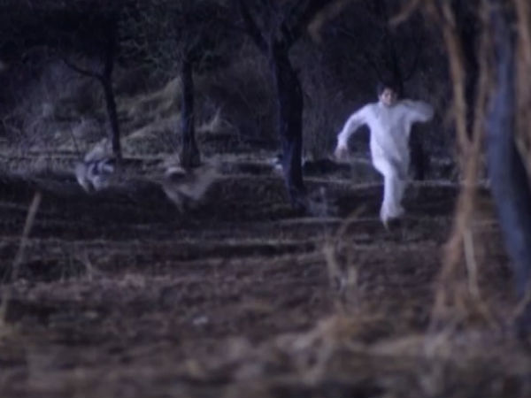 Beasts Chasing A Man