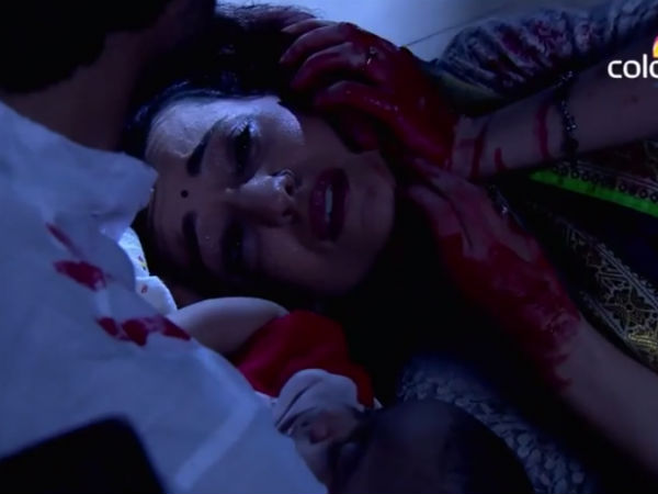 Paro In Blood Paro In Blood