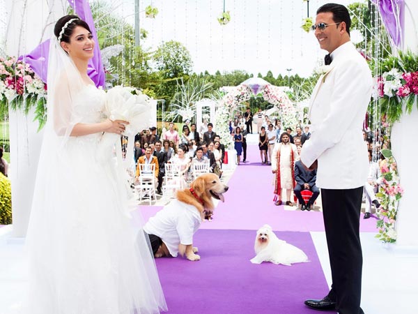 Dog's Marriage