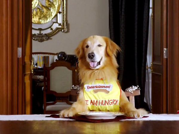 Still Not Reached 50 Crore