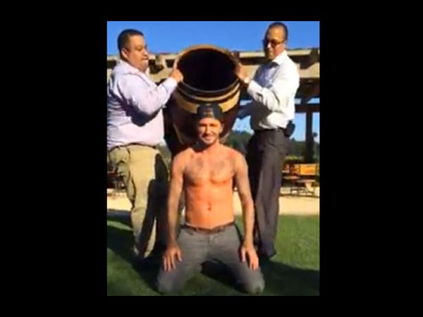 David Beckham David Beckham