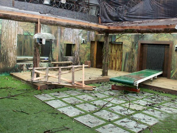 To Collect Luggages?