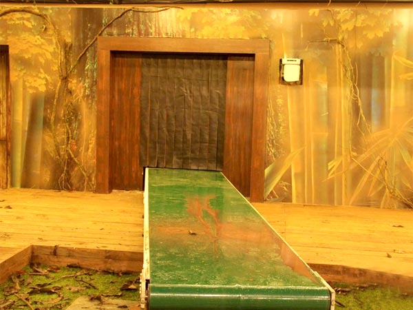 Contestants' Challenge