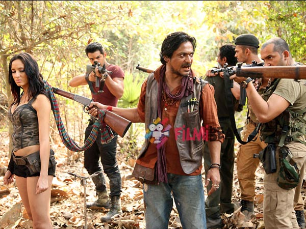 Roar Review By Ians Roar Review By Ians