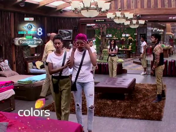 Drama In House Drama In House