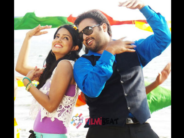 Rowdy Fellow: What To Expect? 