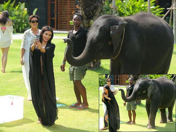 Selfie With An Elephant Selfie With An Elephant
