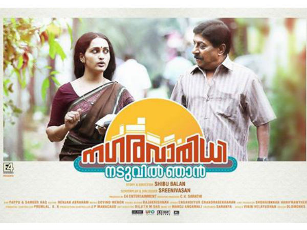 Nagara Varidhi Naduvil Njan: Viewers Expectations