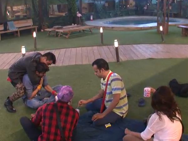 Fun In The Garden Fun In The Garden