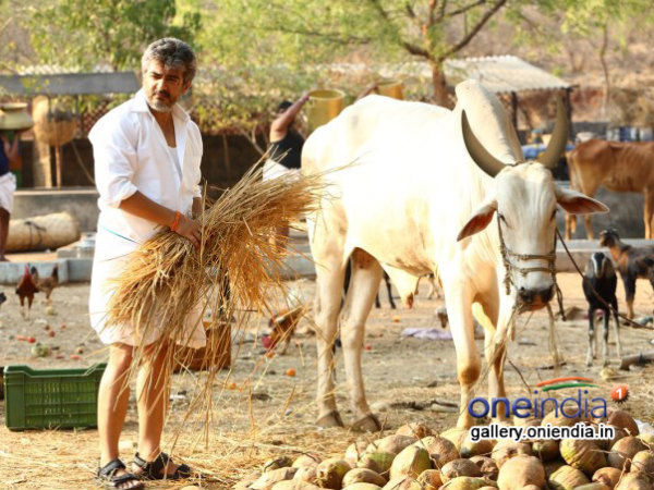 Mixing It Up Mixing It Up